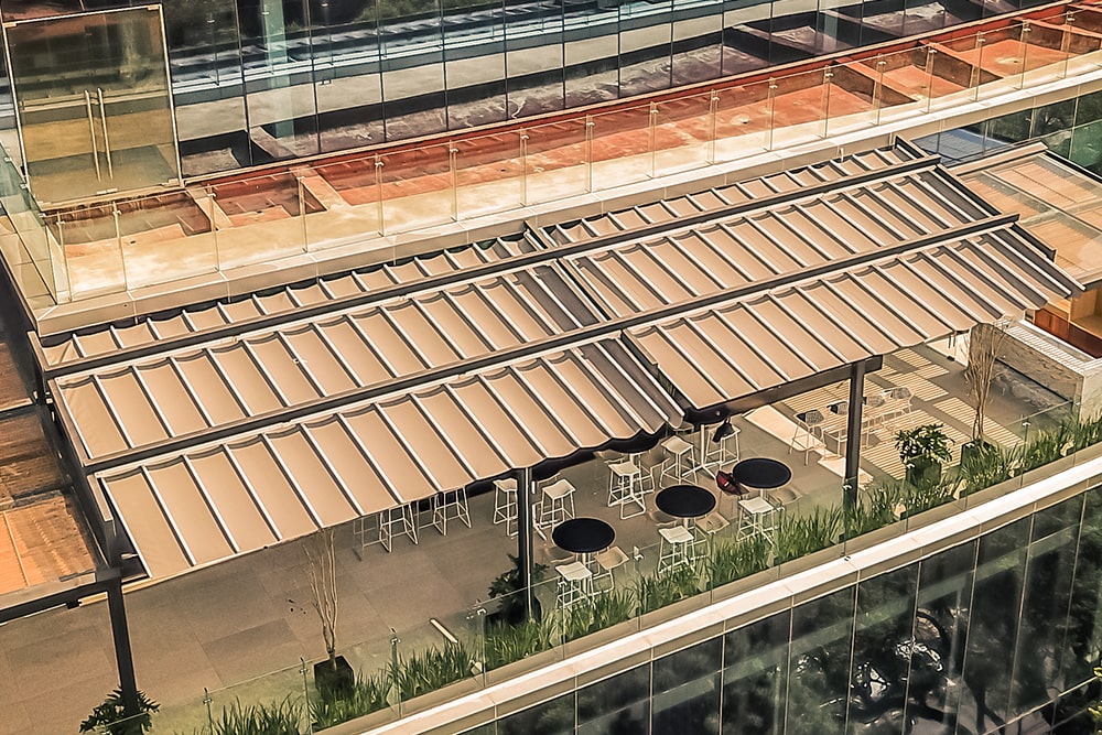 Gaviota palilleria en espacio libre>
<p class=